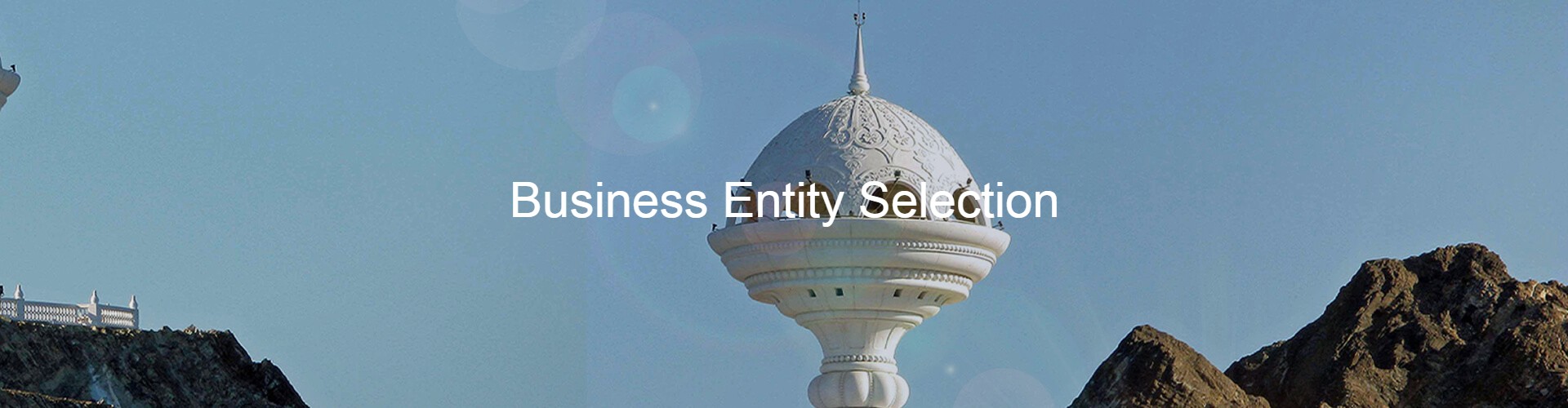 Business Entity Selection | Optimize Business Setup in Oman