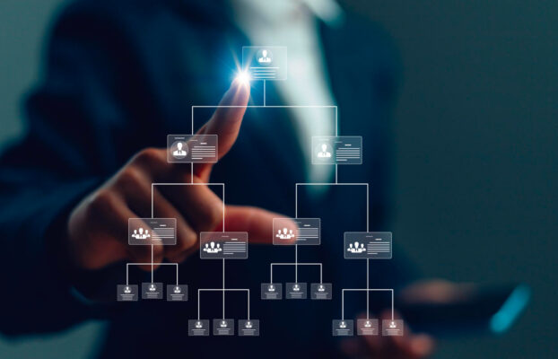Choosing the Right Business Entity in Oman: A Complete Guide